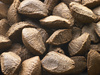 Brazil nuts - photo/picture definition - Brazil nuts word and phrase image