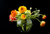 ranunculus flowers - photo/picture definition - ranunculus flowers word and phrase image