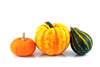 gourds - photo/picture definition - gourds word and phrase image