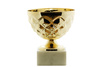 gold sports cup - photo/picture definition - gold sports cup word and phrase image