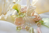 sugar flowers - photo/picture definition - sugar flowers word and phrase image